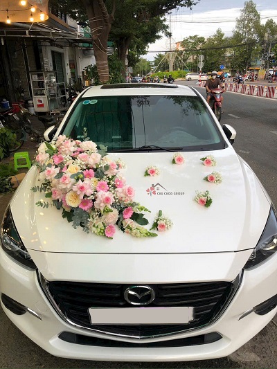 mau_xe_hoa_dep_nam_2026