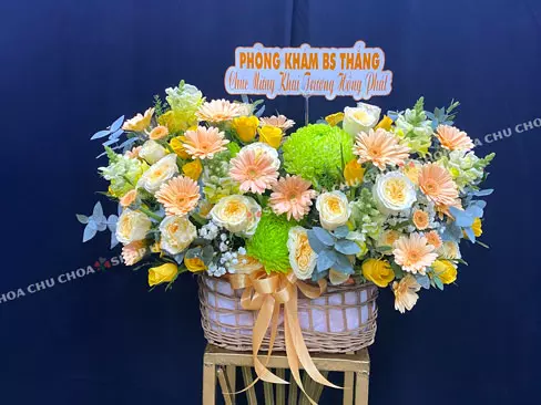 Món Quà Khai Trương 2411-CM0294