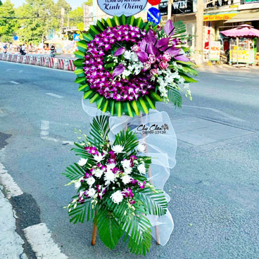 Hoa lan tím viếng đám tang 2411-CB146