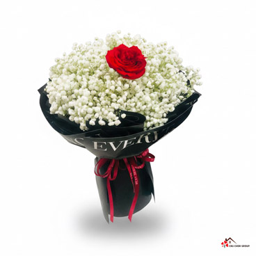 Bó Baby "Tình yêu duy nhất"