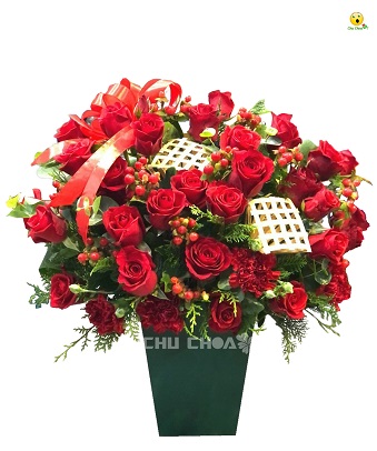 Hồng Đỏ Noel 2411-CM0254