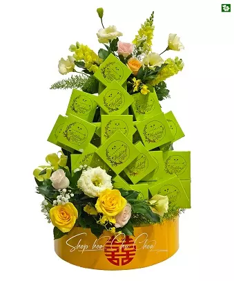 Quả Bánh Thông Dụng