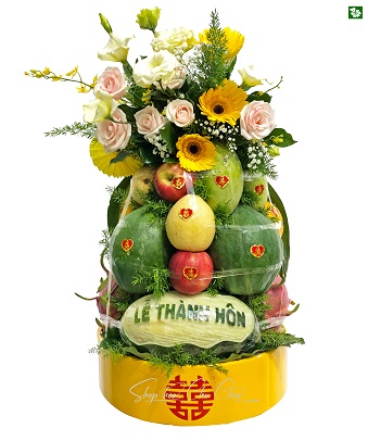 Quả Trái Cây Thông Dụng
