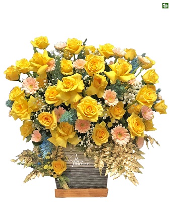 Hoa Sinh Nhật Vàng 2411-CM0279