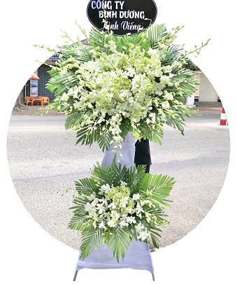 Kệ hoa viếng đám ma lan trắng mang nhiều ý nghĩa sâu sắc như lời nguyện cầu cho người đã khuất
