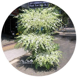 Hoa Viếng Đám Tang