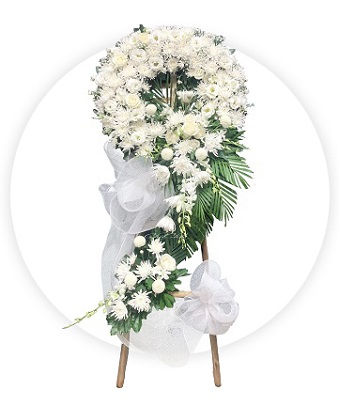 Hoa Đám Ma đám tang ở Tân Sơn